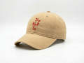 TRY NOT TO DAD HAT